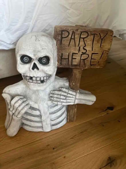 Photo of free Halloween Decoration (Southsea PO4) #1