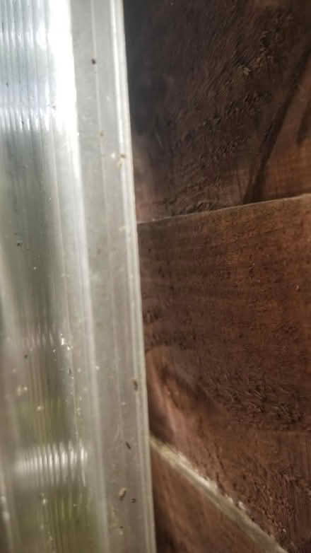 Photo of free 3 x large pieces of corrugated plastic. (Bracknell RG12) #3