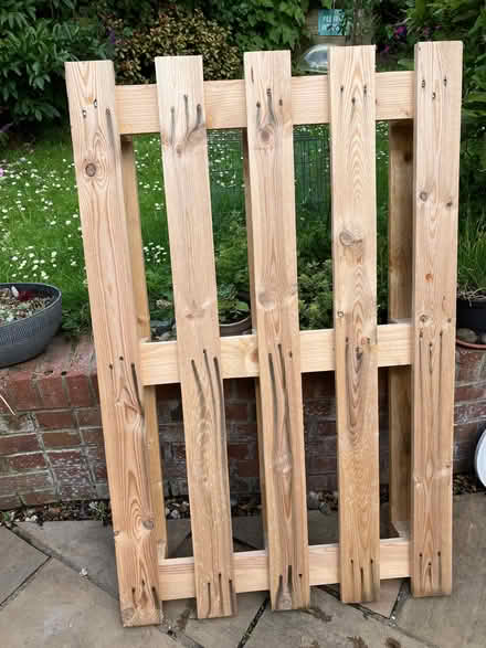 Photo of free Clean wooden pallet (Craigleith EH4) #2