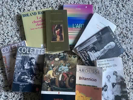 Photo of free French books (Crookes S10) #1