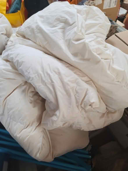 Photo of free Dog Duvets (BS24) #1