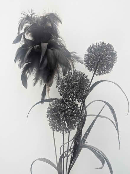 Photo of free Used Black Vase (Stoke-on-Trent ST6) #3