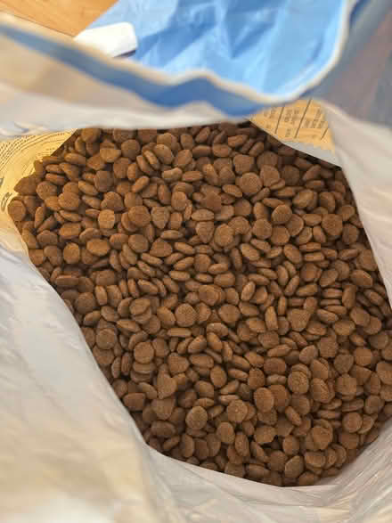 Photo of free Wagg dog food (Summertown OX2) #3