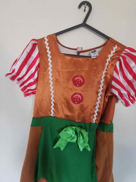 Photo of free Halloween Custome (Idle BD10) #3