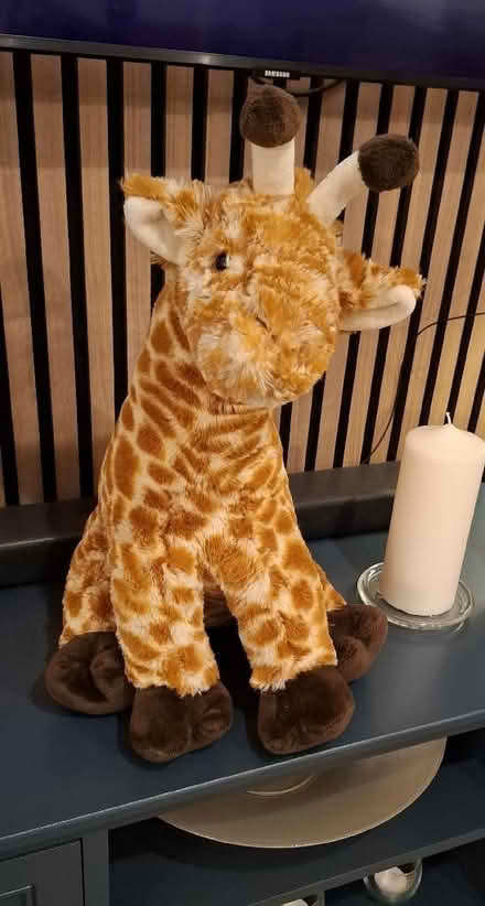 Photo of free Giraffe stuffed toy (Boughton Monchelsea ME17) #1