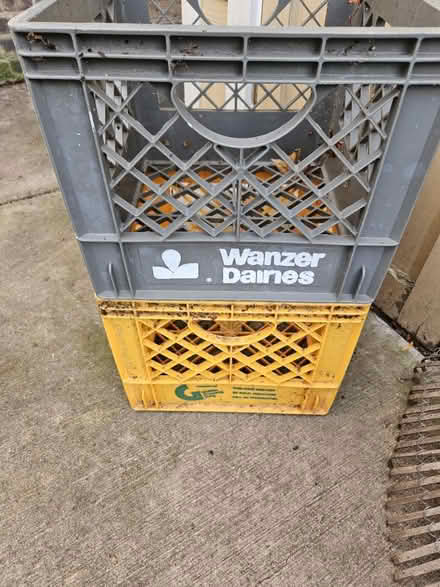 Photo of free Milk crates vintage (60202) #1