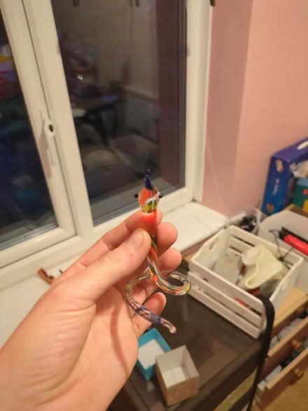 Photo of free Little glass snake (Heeley S2) #1