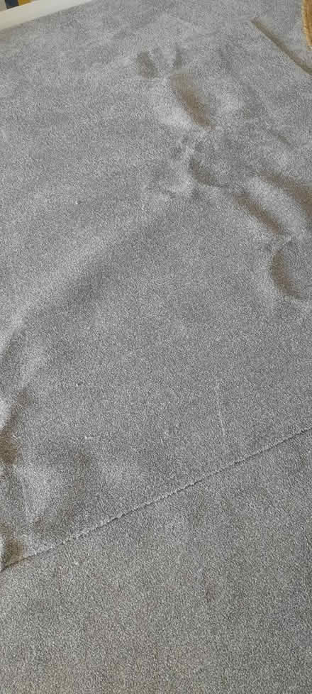 Photo of free Off cut of carpet (TN40 bexhill) #1