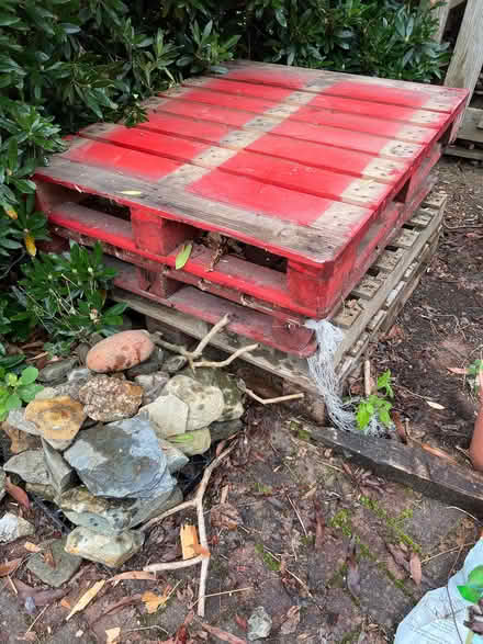 Photo of free Pallets (Broom Plantation G84) #1