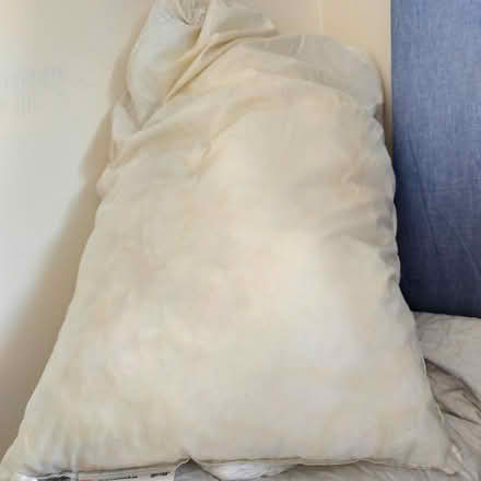 Photo of free Old pillow: stuffing for crafts (Surbiton KT5) #1