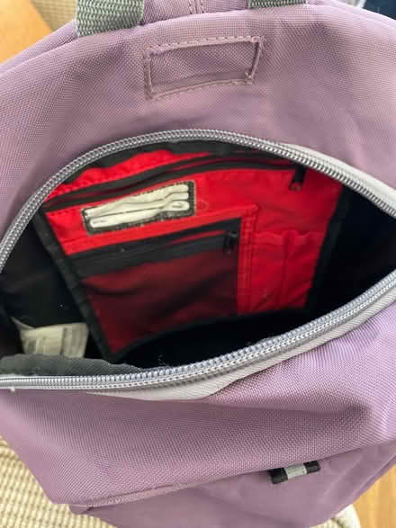 Photo of free Mauve backpack (Golden Green TN11) #3