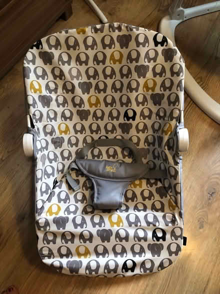 Photo of free Baby bouncer brand new (Bedworth CV12) #1