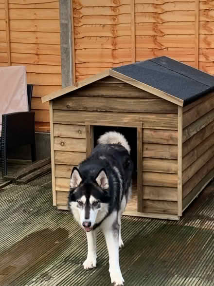 Photo of free Large dog house (Wythenshawe M23) #4