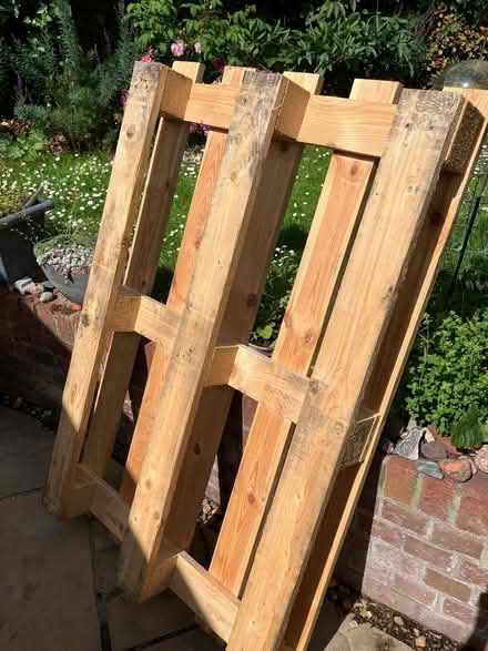 Photo of free Clean wooden pallet (Craigleith EH4) #1