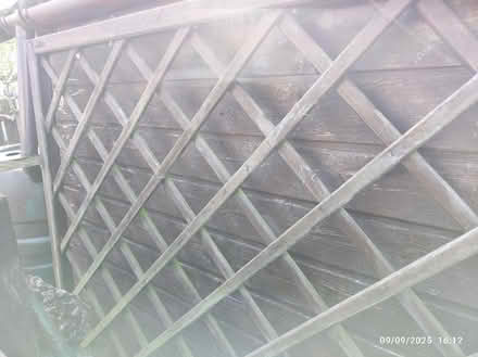 Photo of free Wooden trellis 6ft x 4ft (Penrith CA11) #1