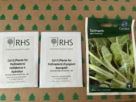 Photo of free Seeds (ME3) #1