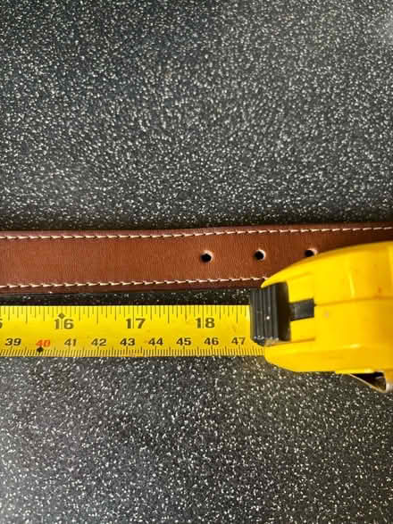 Photo of free Brown leather dog collar (Moulsecoomb BN2) #3