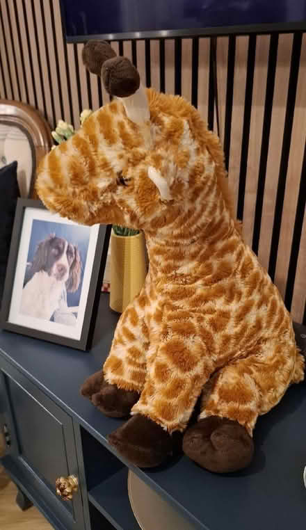 Photo of free Giraffe stuffed toy (Boughton Monchelsea ME17) #2