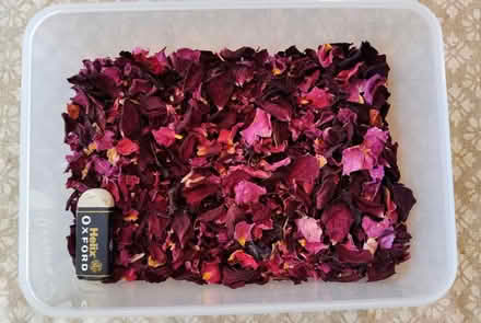 Photo of free Rose petal confetti (Stokenchurch HP14 3) #1