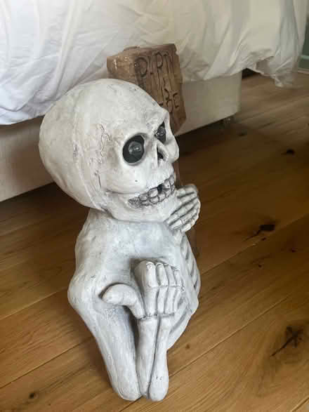Photo of free Halloween Decoration (Southsea PO4) #2