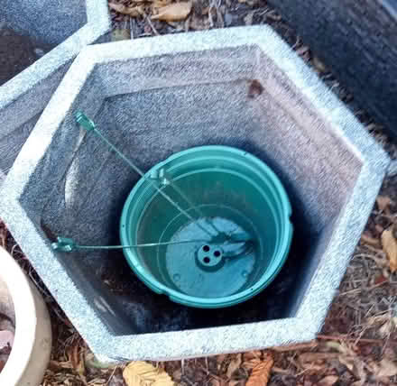 Photo of free Indoor Pots & Green Hanging Basket (LE8 5AH) #3