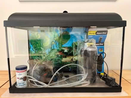 Photo of free Fish tank & accessories (Belmont SM2) #1