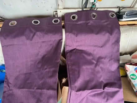 Photo of free Plum lampshades and curtains (Kelvedon CO5) #2