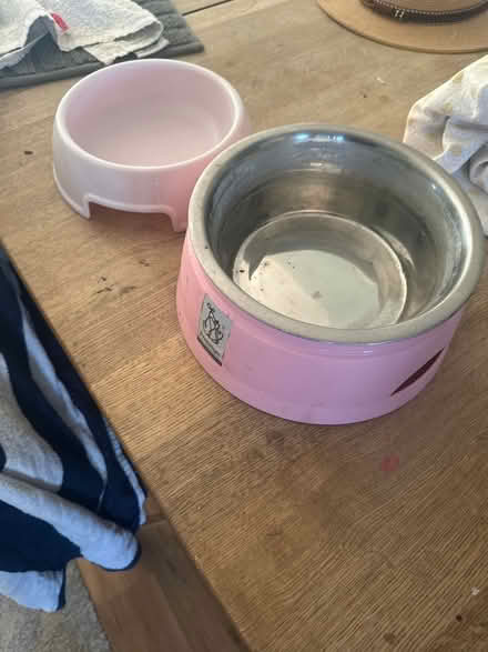 Photo of free Dog bowls (Ringmer BN8) #2