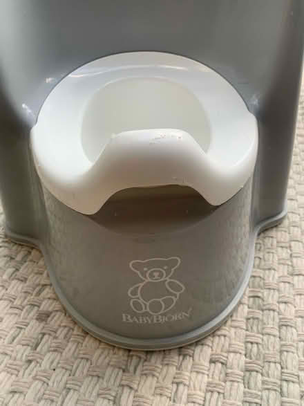 Photo of free Baby born potty (Near Thornhill square N1) #2