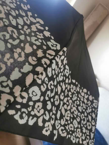 Photo of free Umbrella (Idle BD10) #4