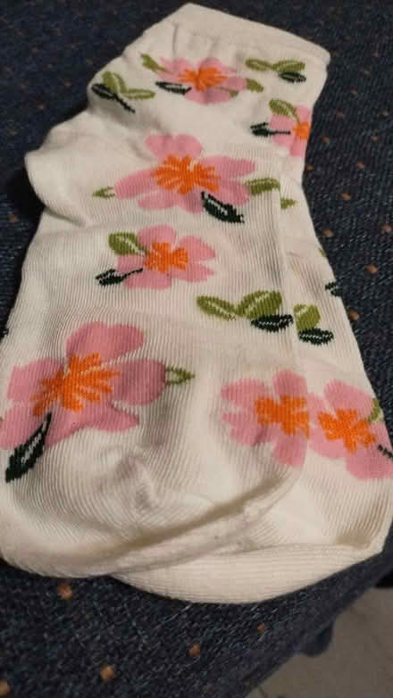 Photo of free women's socks (Allen) #1