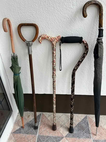 Photo of free 2 Walking Sticks, 2 Umbrellas (Sutton D13) #1