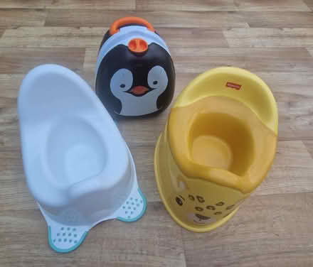 Photo of free Set of potties (Lower Earley RG6) #1
