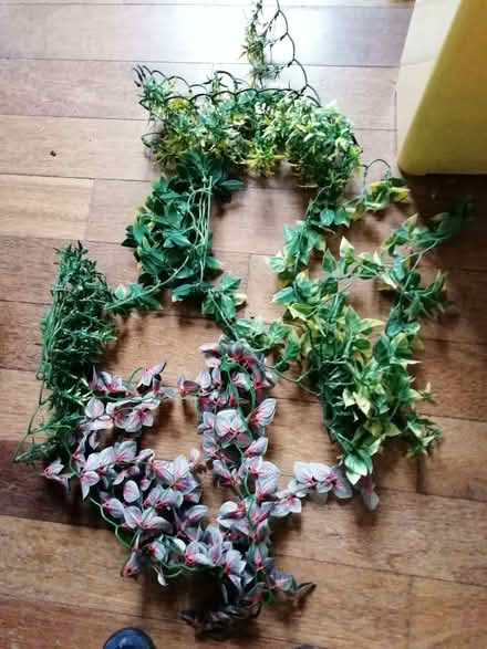 Photo of free Plastic plants (Ashburton CR0) #1