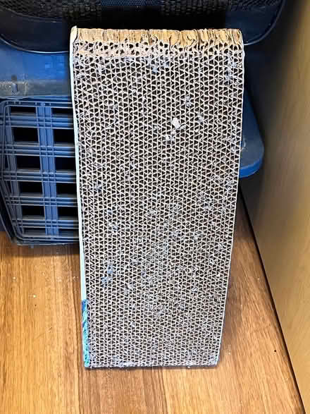 Photo of free Mud Bay cat scratching wedge/ramp (Northgate) #2
