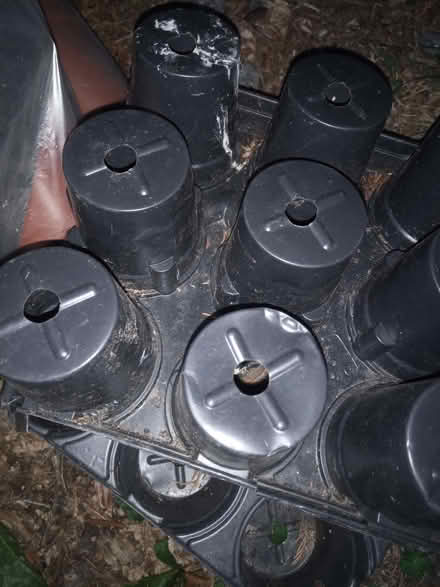 Photo of free Pots (Colchester CO4) #2