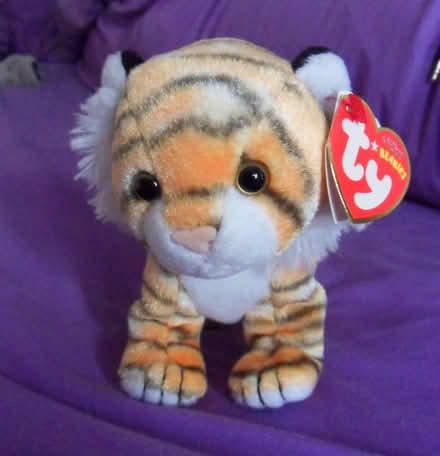 Photo of free Beanie baby - Tiggs (Langley SL3) #1