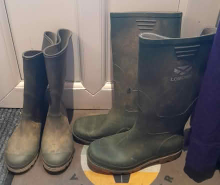 Photo of free 2 pairs of wellies (Buxted TN22) #1