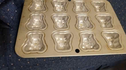 Photo of free Mini teddy bear pan (Allen) #1
