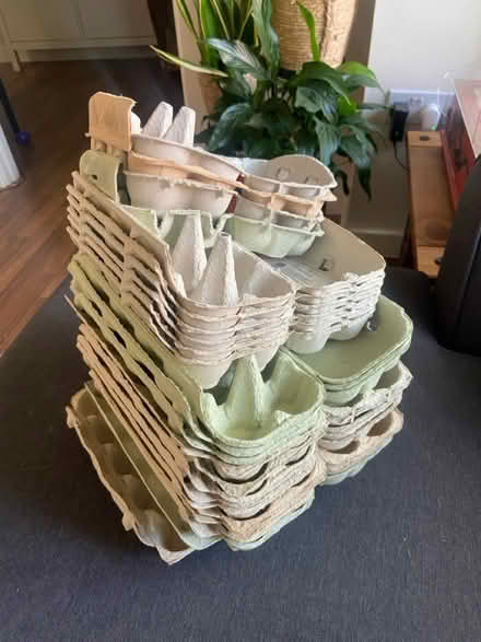 Photo of free Egg cartons (S12) #1