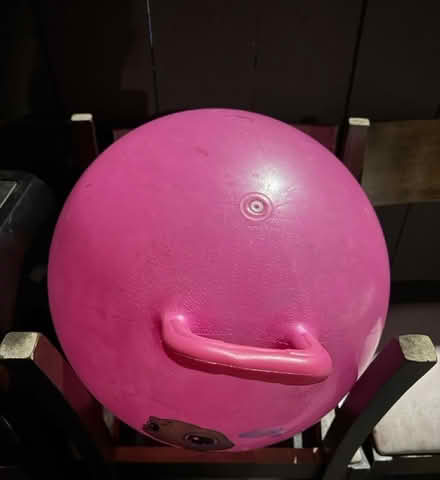 Photo of free Pink inflatable bouncy hopper ball (Valencia Avenue, Sunnyvale) #2