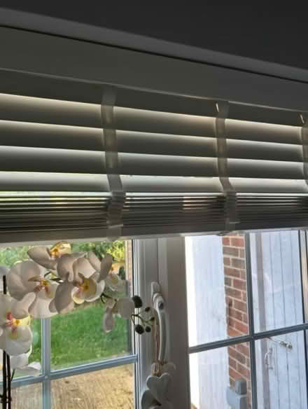 Photo of free White blinds regift (Penge SE20) #1