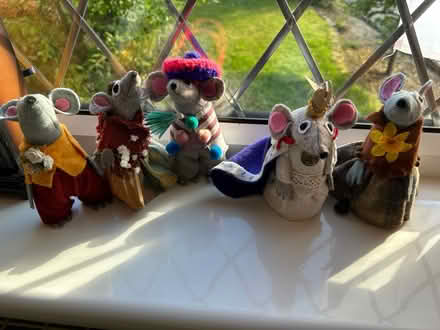 Photo of free Mice family (Oxenhope) #1