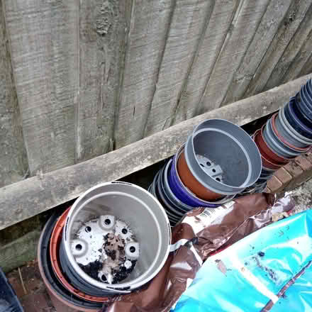 Photo of free plastic plant pots (Woosehill RG41) #2