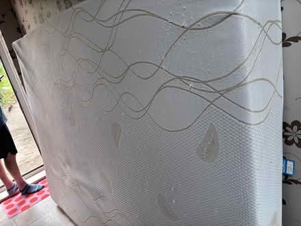 Photo of free mattress (Bd10) #1