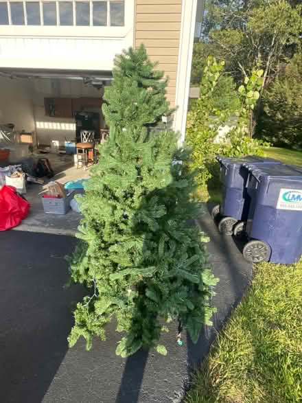 Photo of free 7’ Christmas Tree (Sutton) #2