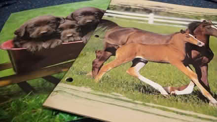 Photo of free folders (Allen) #1