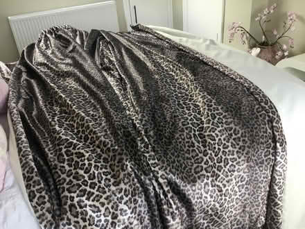 Photo of free Leopard print curtains (Caldy CH48) #1