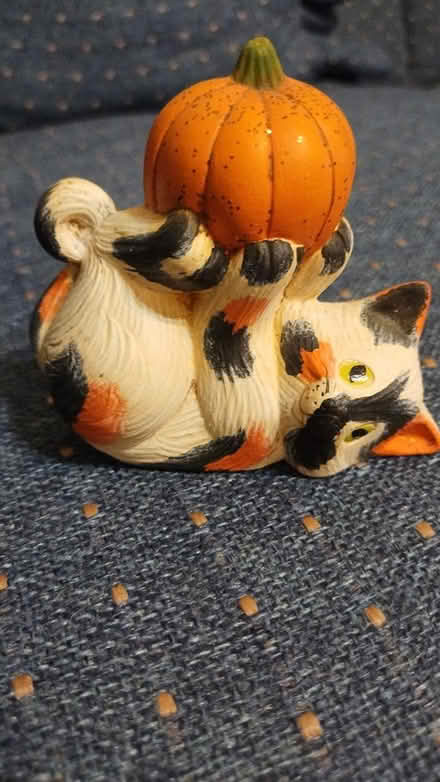 Photo of free Halloween cat decoration (Allen) #1