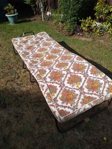 Photo of free Single folding guest bed (Hatfield Peverel CM3) #1